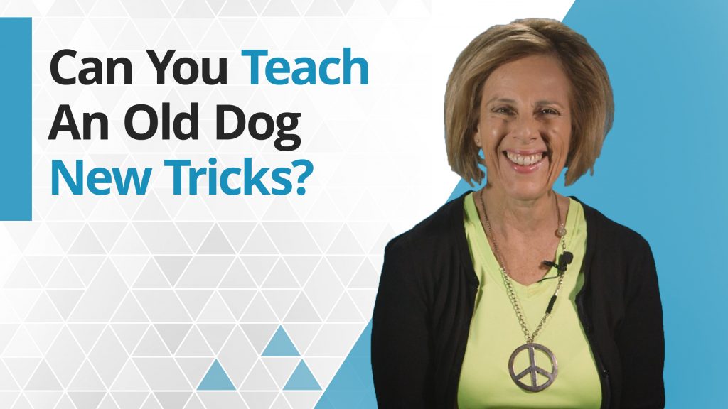 Title graphic - Can you teach an old dog new tricks