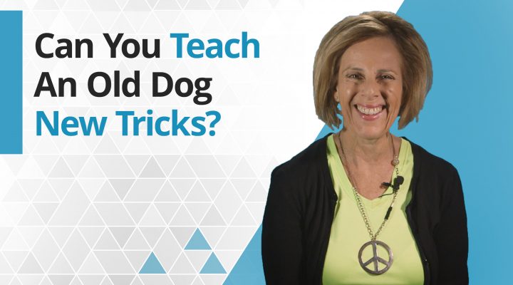 Title graphic - Can you teach an old dog new tricks